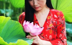 剩女时代电视剧